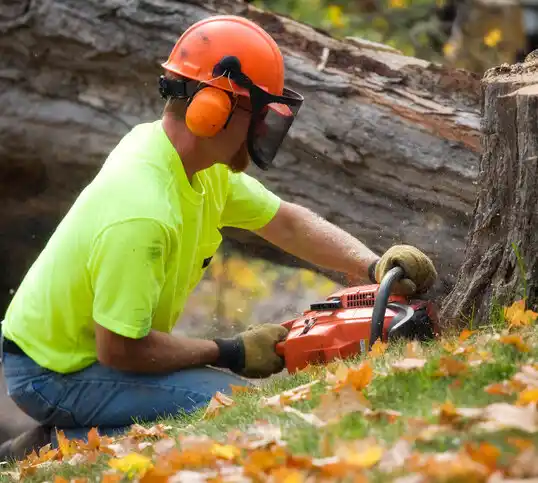 tree services Bromley